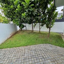 Serangoon Garden Estate (D19), Terrace #533113911